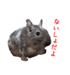デグーのチョビぎんスタンプ（個別スタンプ：29）