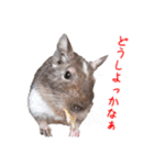 デグーのチョビぎんスタンプ（個別スタンプ：32）