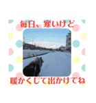 コリー犬のつぶやき（個別スタンプ：40）