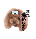 トイプードル ここてん2（個別スタンプ：18）