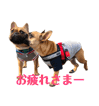 ロコ＆リル（個別スタンプ：3）