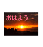 39すたんぷ（個別スタンプ：16）