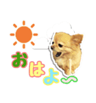 momo-chan！！！（個別スタンプ：2）