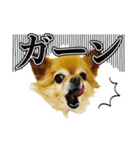 momo-chan！！！（個別スタンプ：12）