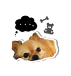 momo-chan！！！（個別スタンプ：13）