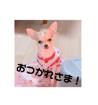 Milk STAMP 03（個別スタンプ：2）