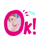 Milk STAMP 03（個別スタンプ：3）