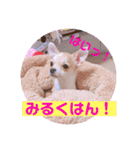 Milk STAMP 03（個別スタンプ：7）