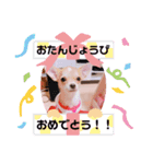 Milk STAMP 03（個別スタンプ：8）