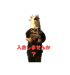 妙の鹿（個別スタンプ：3）