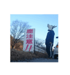 妙の鹿（個別スタンプ：5）