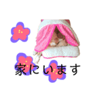 茶トラ＆茶白4兄弟のスタンプVer3（個別スタンプ：2）