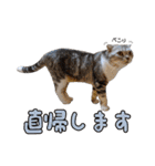 こたろう   社会人が日常で使えるシリーズ（個別スタンプ：14）