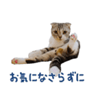 こたろう   社会人が日常で使えるシリーズ（個別スタンプ：23）