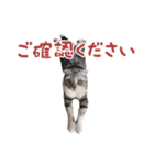 こたろう   社会人が日常で使えるシリーズ（個別スタンプ：25）