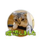こたろう   社会人が日常で使えるシリーズ（個別スタンプ：27）