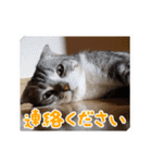 こたろう   社会人が日常で使えるシリーズ（個別スタンプ：29）