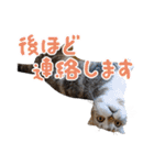 こたろう   社会人が日常で使えるシリーズ（個別スタンプ：30）