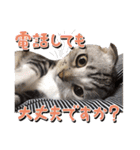 こたろう   社会人が日常で使えるシリーズ（個別スタンプ：32）