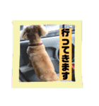 ロンちゃんすたんぷたち（個別スタンプ：13）