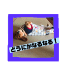 ロンちゃんすたんぷたち（個別スタンプ：23）