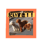 ロンちゃんすたんぷたち（個別スタンプ：24）