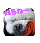 ひなぴの言葉（個別スタンプ：3）