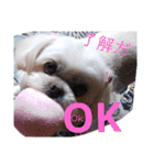 ひなぴの言葉（個別スタンプ：6）
