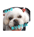 ひなぴの言葉（個別スタンプ：8）