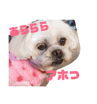 ひなぴの言葉（個別スタンプ：10）