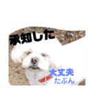 ひなぴの言葉（個別スタンプ：11）