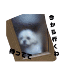 ひなぴの言葉（個別スタンプ：15）