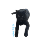 青い目の黒猫タイソン（個別スタンプ：3）