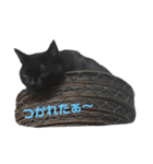 青い目の黒猫タイソン（個別スタンプ：7）