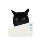 青い目の黒猫タイソン（個別スタンプ：15）