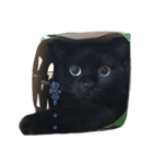 青い目の黒猫タイソン（個別スタンプ：22）