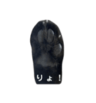 青い目の黒猫タイソン（個別スタンプ：31）