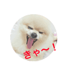 ほんのお気持ち（個別スタンプ：2）