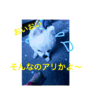 ほんのお気持ち（個別スタンプ：6）
