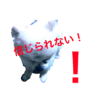 ほんのお気持ち（個別スタンプ：8）