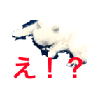 ほんのお気持ち（個別スタンプ：10）