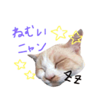 ゆあたんのスタンピ（個別スタンプ：16）