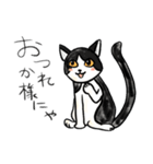 ねこまるだし（個別スタンプ：3）