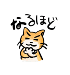 ねこまるだし（個別スタンプ：7）