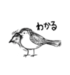 ハクセキレイのゆるーいスタンプ（個別スタンプ：5）