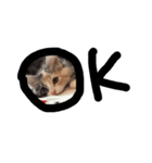 人間みたいにゃ猫たち。（個別スタンプ：8）