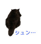 犬のぬい2（個別スタンプ：1）