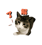 one'sスタンプ（個別スタンプ：7）