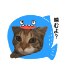 子猫のマンチカンちか子スタンプ（個別スタンプ：32）