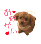 くぅぴぃめぃとはなまるのスタンプ（個別スタンプ：18）